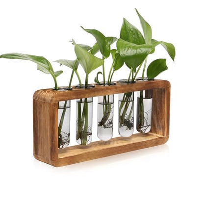 Glass Plant Propagation Station with 5 Test Tubes Colorful Planter Vase Birthday Gifts for Women in Wooden Stand - color: Gray
