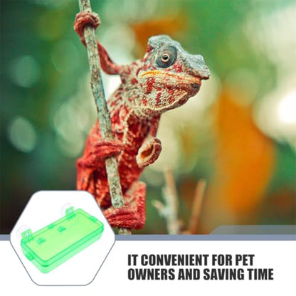 Cabilock Reptile Food Dish and Water Bowl with Suction Cup, Large Green Plastic Feeder for Bearded Dragon, Chameleon, Gecko, Suitable for Feeding Insects and Hydration in Terrariums