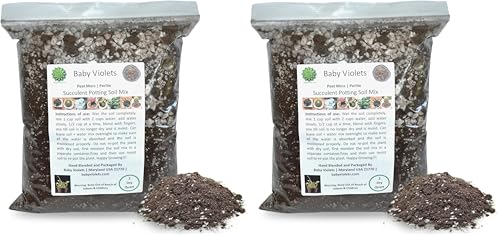 Succulent Plant Potting Soil Mix Peat Moss & Perlite (½ Gallon / 2 quarts) (Pack of 2) - size: 2qt (Pack of 2)