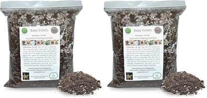 Succulent Plant Potting Soil Mix Peat Moss & Perlite (½ Gallon / 2 quarts) (Pack of 2) - size: 2qt (Pack of 2)