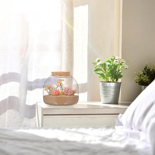 Totority Glass Terrarium Jar with Stopper for Hydroponic Plants and Moss Mini Transparent Ecosystem Container with Wood Cork Lid Decorative Indoor Plant Terrarium for Home and Office Desk