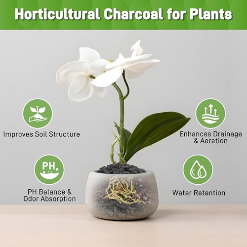 2 Quarts Horticultural Charcoal for Indoor Plants-Hardwood Potting Soil Amendment for Orchids, Succulent, Cactus, Terrariums, and Gardening