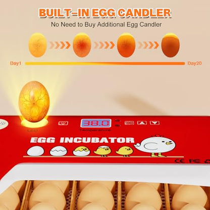 Incubators for Hatching Eggs 15-35 Eggs Incubator with Automatic Egg Turning and ℉Temperature Display LED Candler Poultry Incubator for Hatching Chicken Duck and Quail Incubator