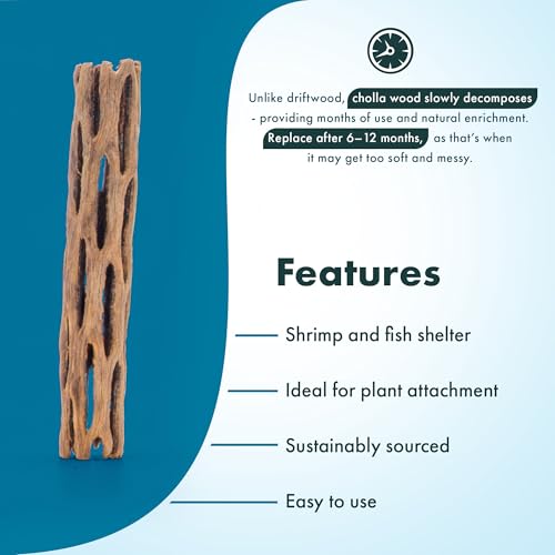 SubstrateSource Natural Cholla Wood - Driftwood for Aquariums, Air Plant Base, Hermit Crab and Freshwater Shrimp Hideout, Fish Tank Decoration, Chinchilla Chews, Reptile Habitat Wood - 6 Inch, 5pc - size: 6 Inch, 5pc