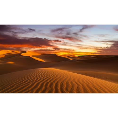 Sunset Desert Reptile Habitat Background Arid Landscape of The Sahara Desert Terrarium Background Sunset Over The Sand Dunes Aquarium Background Sunset Desert Tank Decor 30x12in - color: Sand Orange, size: 30(W)x12(H)inches/ 75(W)*30cm(H)