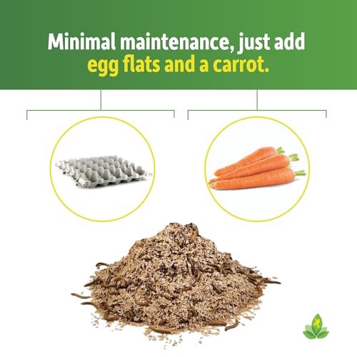 Josh's Frogs Mealworm & Superworm Wheat Bran Bedding and Food Source (5 Quarts) - size: 2 Pound (Pack of 1)