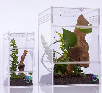 EctoTherm Jumping Spider Enclosure - for Habitat, Terrarium Kit and Arboreal Tarantula Enclosure - size: Small/Medium