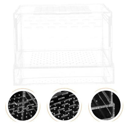 GANAZONO Clear Feeding Case for Spiders and Geckos Durable Hatching Container with Lid Habitat Box for Reptiles and