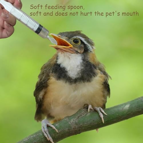8 PCS Small Pet Feeding Syringe Sets, Baby Bird Feeding Syringe for Cats, Dogs Other Small Animal (Syringes, Milk Container, Spoons and Powder Spoons)