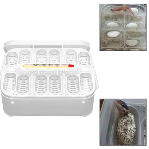 Reptile Incubation Box Reptile Incubator Egg Tray Hatching Box with 12 Grids for Turtle Gecko Lizards Mane Reptile Egg Incubators
