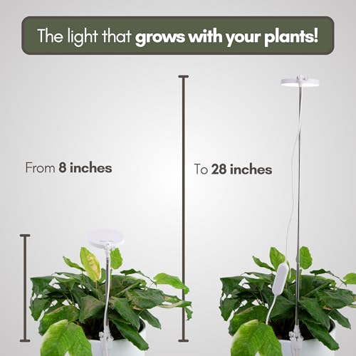 Mossify LED Grow Lights for Indoor Plants Full Spectrum – Adjustable Height (8”-28”), Dimmable Brightness, Programmable Timer, Long Lifespan – Ideal Grow Lights for Healthy Plant & Houseplants (Black) - color: Black