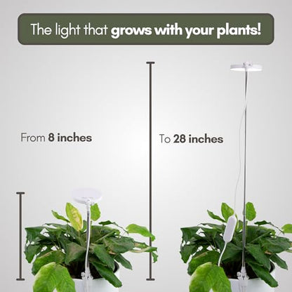 Mossify LED Grow Lights for Indoor Plants Full Spectrum – Adjustable Height (8”-28”), Dimmable Brightness, Programmable Timer, Long Lifespan – Ideal Grow Lights for Healthy Plant & Houseplants (Black) - color: Black