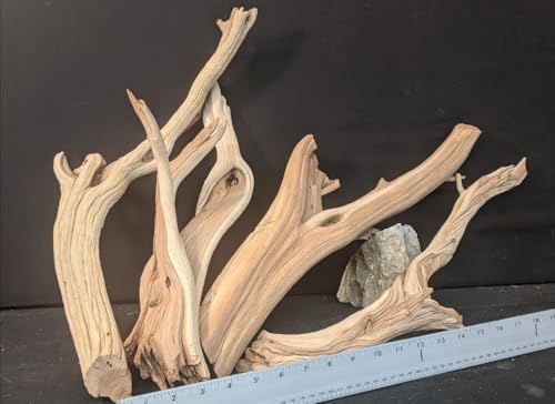 Natural Ghostwood Driftwood | 4 Pieces 18” Long | Bulk Manzanita Wood for Aquarium, Terrarium, Reptile Enclosures, Home Décor & Crafts (Assorted Bulk *We Pick*) - size: Assorted Bulk *We Pick*