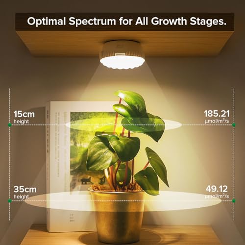 7W Grow Light for Indoor Plants, Full Spectrum Plant Light with Auto Timer (3/6/12H) & 4-Level Dimming, Small Led Grow Light for Seedlings, Succulents, Herbs - size: 1-Head