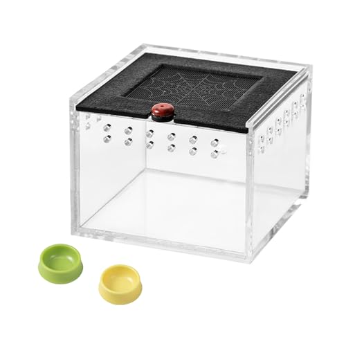 Cricket Keeper - Escape-Proof Insect Habitat Container for Dubia Cockroaches, Tarantulas, Spiders and Breadworms - Ventilated Bug Cage with Feeding Bowl (No Assembly Needed) (Transparent) - color: transparent