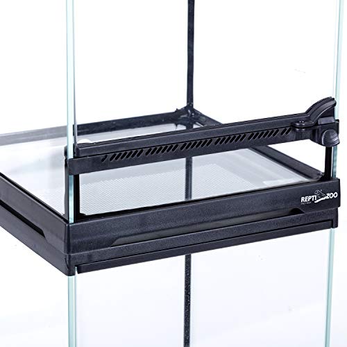 REPTI ZOO Mini Reptile Glass Terrarium,Front Opening Door Full View Visually Appealing Mini Reptile or Amphibians Glass Habitat - size: 8"x8"x12"