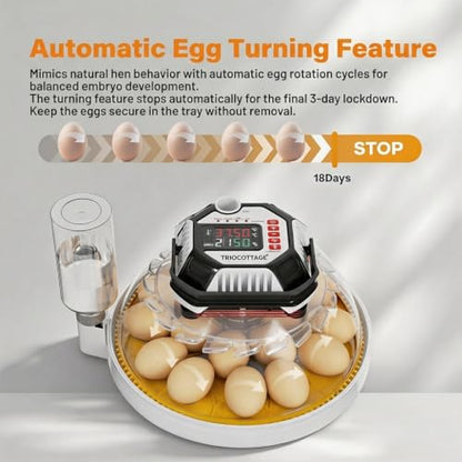 Incubators for Hatching Eggs, 12–18 Egg Capacity Digital Egg Incubator with Automatic Egg Turning and Accurate Humidity Control for Chicken, Quail, Duck