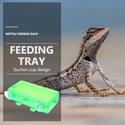 DOITOOL 2pcs Anti-Escape Reptile Feeding Bowls with Suction Cups, Small Green Reusable Water and Food Basin for Lizards, Geckos, Bearded Dragons, Multi-Function Terrarium Feeder