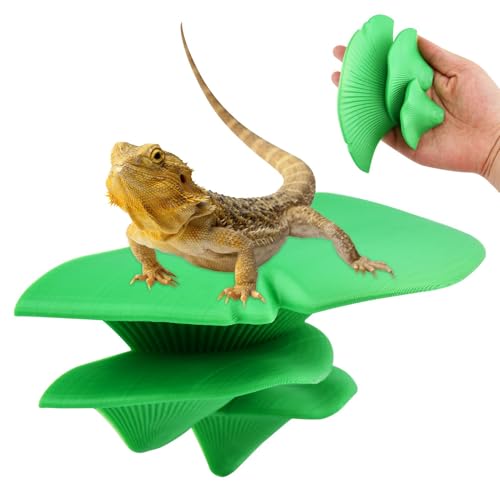 Mushroom Reptile Ledge, Mushroom Decor for Reptile Tank, Tree Frog Terrarium Tank Accessories Magnetic Ledge Ladder Pet Spider Accessories(Color:Green) - color: Green
