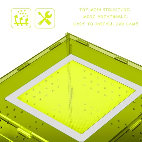8x8x12 Reptile Enclosure Acrylic Terrarium – Cyberpunk Light Green Reptile Tank Featuring New Caledonia Rainforest Style for Geckos & Invertebrates - color: LightGreen