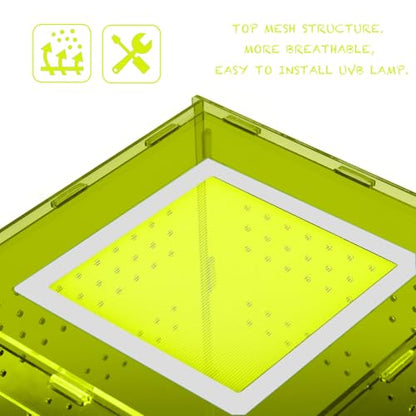 8x8x12 Reptile Enclosure Acrylic Terrarium – Cyberpunk Light Green Reptile Tank Featuring New Caledonia Rainforest Style for Geckos & Invertebrates - color: LightGreen