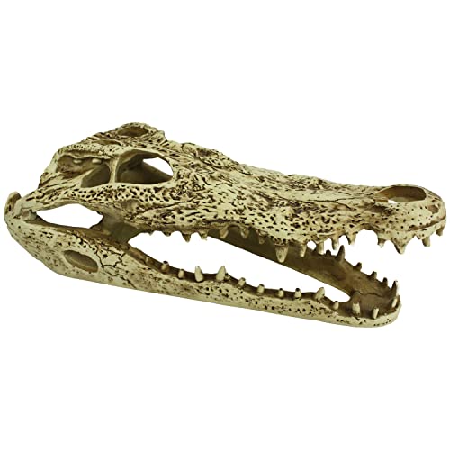 Komodo Reptile Terrarium Realistic Alligator Skull Ornament Decor | Easy to Clean Under Water Aquarium or Dry Habitat Decoration Accessory, 9 Inches