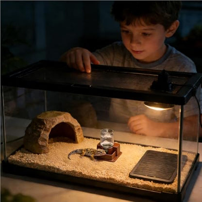 Reptile Automatic Dish - Automatic Reptile Feeder, Crab Water Dispenser | ABS, Bearded Dragon Water Bowl Food Container for Lizard Chameleon Snake Frog Hermit Crab Amphibian Habitat - color: Brown