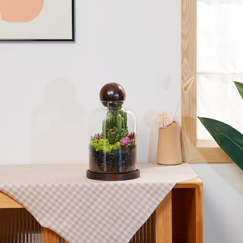 Yangbaga Large Glass Terrarium Succulent Plant Terrarium House for Plant/Moss Ball/Glass Fish Tank Table with Wood Base & Ball lid Office Home Decoration - size: H-9.8IN