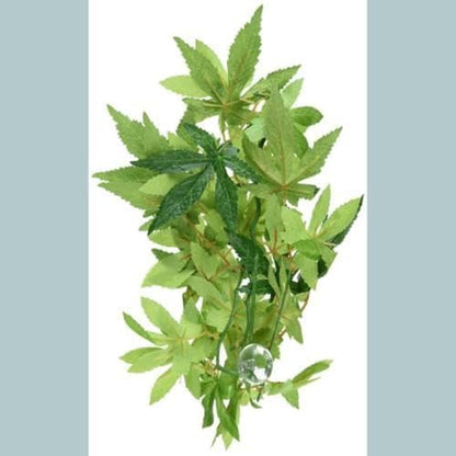 Hagen Exo Terra Silk Terrarium Plant, Small, Abutilon (Pack of 2) - size: Small (Pack of 2)