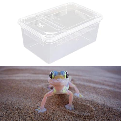 Reptile Breeding Case Lightweight Clear Feeding Box Reptile Habitat Portable Animal Container PP Material Suitable for Feeding Pets hatchling Raising, Style C - size: Style C