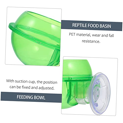 Angoily 4pcs Reptile Feeding Bowl Cup Water and Food Dish for Lizards Geckos and Other Crawling Pets Easy to Clean and Stable Design - color: Greenx2pcs, size: 8X10CMx2pcs