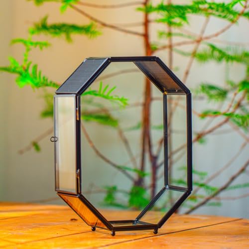 NCYP Glass Enclosure Terrarium with Mesh and Door for Spiders, Small Mantis, Jumping Spider - Octagon Shape Vented Glass Terrarium 6.2 x 3.1 x 8.7 inches, Black (Plants Not Include) - size: 6.2 x 3.1 x 8.7 inches