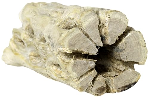 Galapagos 05270 Cholla Wood for Aquarium ,(pack of 3)