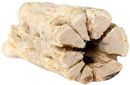 Galapagos 05270 Cholla Wood for Aquarium ,(pack of 3)