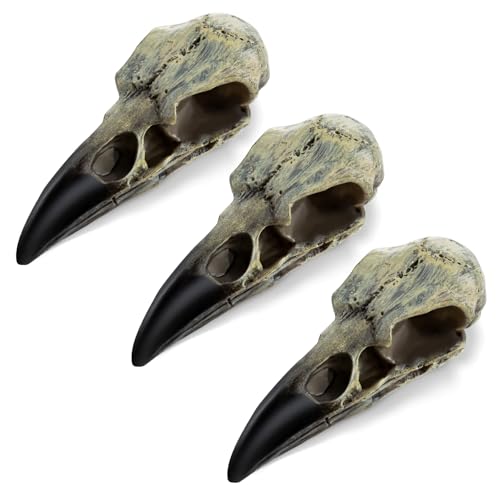 3Pcs Halloween Raven Skull Decor, 2.6 Inches Gothic Fake Crow Skull Pendant for Necklace, Wall Decorations - style: 3Pcs