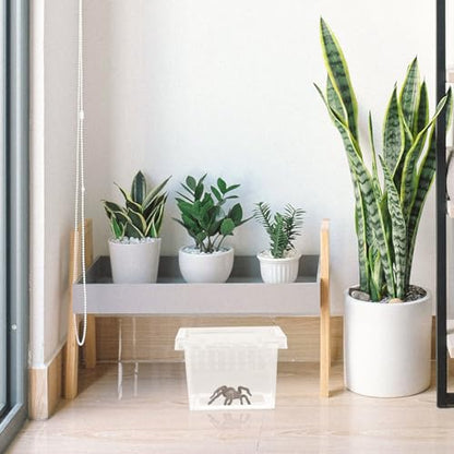 Alipis Reptile Breeding Box Pet Display Container for Turtles Spiders Snakes Lightweight Portable with Stable Ventilation for Fresh Air
