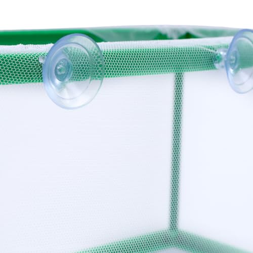 MY MIRONEY 2PCS 10.43" x 5.91" x 5.91" Fish Tank Breeder Green Nylon Fish Incubator Mesh Box Aquarium Fish Fry Hatchery Breeder with Suction Cups - style: 10.43" x 5.91" x 5.91"; Green; without Divider