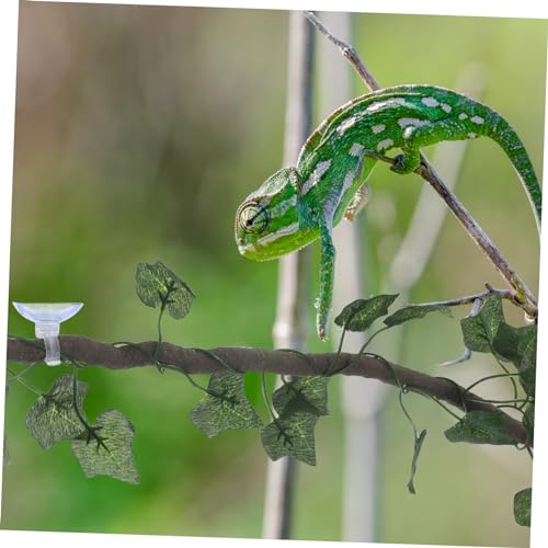MERRYHAPY 1m Jungle Vines Rattan Strip with Suckers for Reptiles Flexible Habitat Decor for Lizards Frogs Snakes and with Suction Cups
