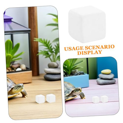 KESYOO 6 Natural Mineral Calcium Blocks for Turtles and Reptiles, Mineral Supplement for Tank Substrate, Aquarium and Terrarium Accessory, Health Support and
