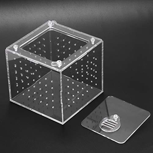 GLOGLOW Nan Clear Acrylic Reptile Viewing Box, Durable Feeding Container for Tarantula and Gecko, 3.9x3.9x3.5 Inch with Ventilation Holes Crawler Breeding Tools, Reptile Hatching Supplies