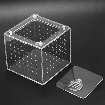 Pomya Transparent Acrylic with Ventilation | Feeding Hole Breeding Box for Insects Crabs Snakes Spiders Lizards