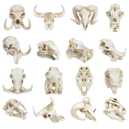 Exasinine 16 Pcs Mini Resin Animal Skull Heads Figurines 1.5 Inch Mini Skulls Figurines Highly Detailed Miniature Animal Skull for Halloween Crafts Gothic Decor Terrarium Micro Landscape Decor