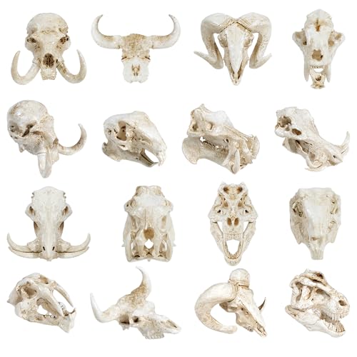 Exasinine 16 Pcs Mini Resin Animal Skull Heads Figurines 1.5 Inch Mini Skulls Figurines Highly Detailed Miniature Animal Skull for Halloween Crafts Gothic Decor Terrarium Micro Landscape Decor