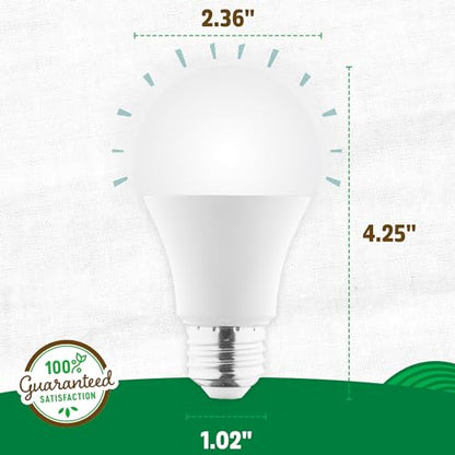 Back to The Roots Full Spectrum LED Grow Lights Value 2-Pack
