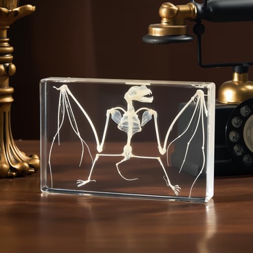 Taxidermy Bat and Real Bat Specimens Mounted in Resin, Ideal Gift for Fans of Taxidermy, Animal Skulls, Oddities, and Biology (Bat Skeleton (5.3x3.5x1.3 Inch)) - color: Bat Skeleton (5.3x3.5x1.3 Inch)