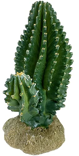 Multi Pet 48593320: Komodo Cactus Plant Columnar, 5.9In