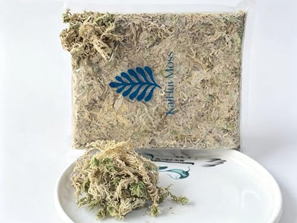Premium Long Fiber Sphagnum Moss, 8OZ Natural Dried Moss for Reptile Terrarium Substrate, Snake, Gecko, Ball Python, Frog and Orchids
