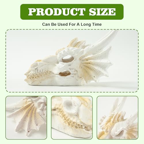 Dragon Skull Ornament for Aquarium Reptile Fish Tank Decorations Mini Betta Fish Tank Decor Accessories