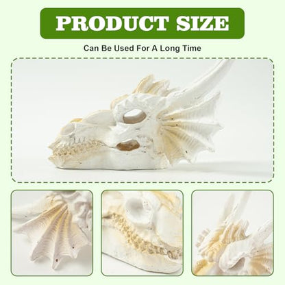 Dragon Skull Ornament for Aquarium Reptile Fish Tank Decorations Mini Betta Fish Tank Decor Accessories