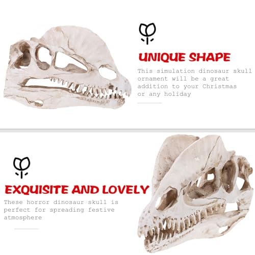 NUOBESTY Resin Dinosaur Skeleton Aquarium Decoration Dinosaur Skull Skeleton Ornament Fish Tank Aquarium Terrarium Decoration